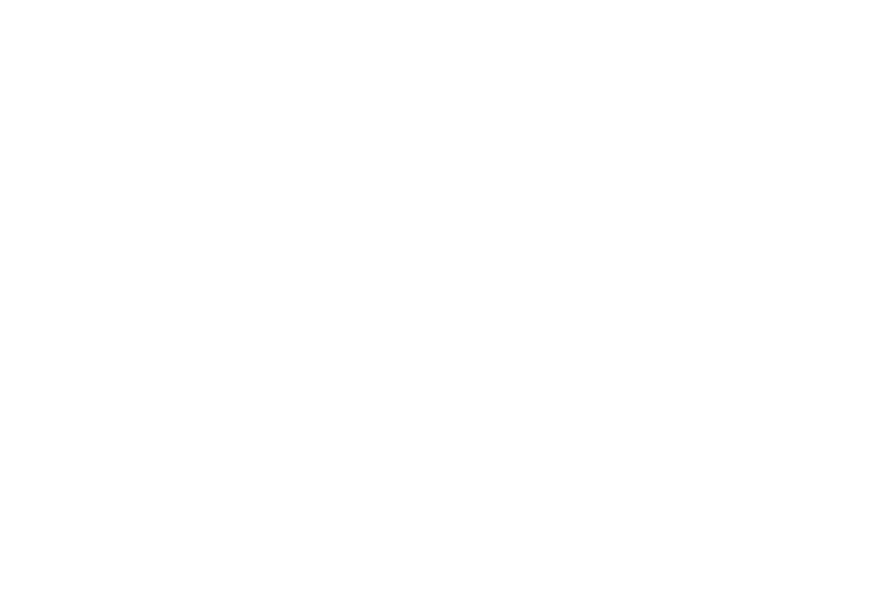 Active Silver